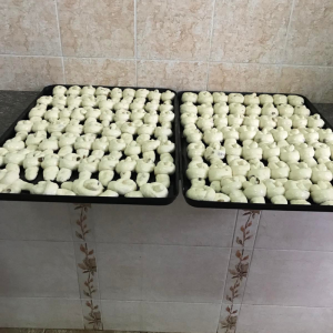 Alimentație 01.12.21