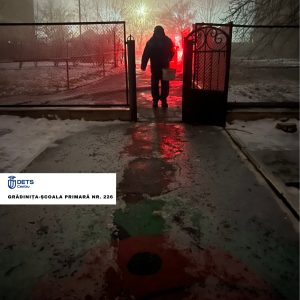 Combaterea poleiului pe teritoriile instituțiilor educaționale din sectorul Centru